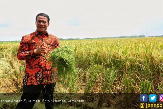 Indonesia Akan Jadi Salah Satu Negara Perekonomian Terbesar lewat Pertanian - JPNN.COM