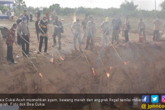 Bea Cukai Aceh Musnahkan Ayam, Bawang Merah dan Anggrek Ilegal - JPNN.COM