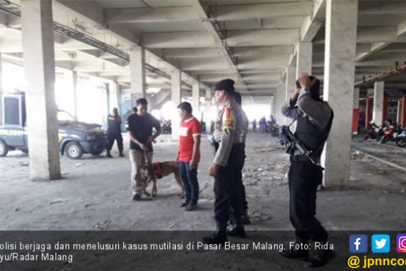 Tercium Anjing Pelacak, Terduga Pelaku Mutilasi Pasar Besar Malang Ditangkap - JPNN.COM
