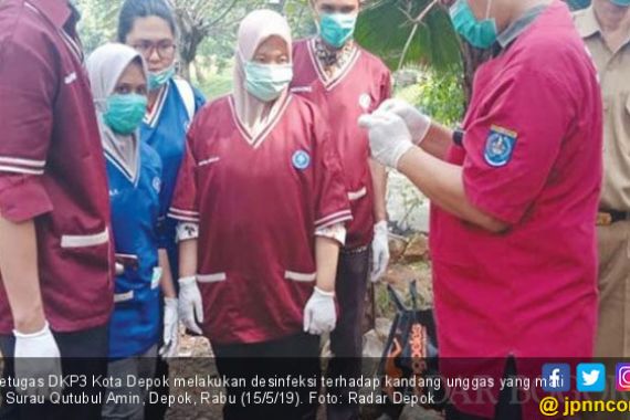 Puluhan Unggas di Depok Mati Misterius - JPNN.COM