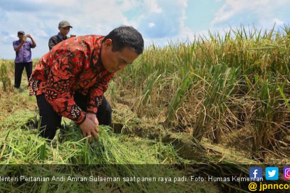 Terobosan Kementan Berhasil Tekan Inflasi Pangan Sejak 2015 - JPNN.COM