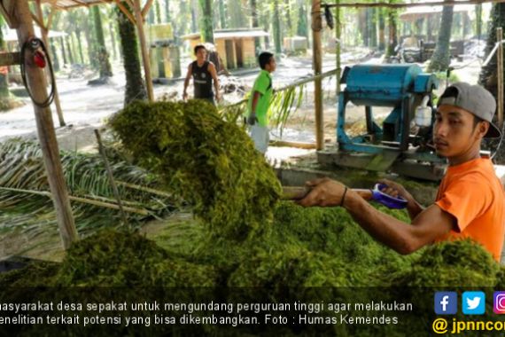 Inovasi Pupuk Organik dari Warga di Desa - JPNN.COM