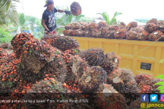 Industri Sawit Indonesia Makin Kuat Pasca-PMK Nomor 191/2020 - JPNN.COM