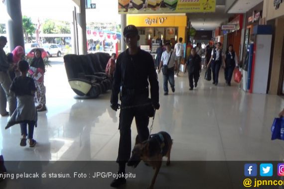 Anjing Pelacak Mulai Dikerahkan ke Stasiun Kereta Api - JPNN.COM