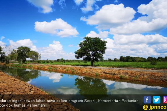 Mentan Kagum Lihat Semangat Ibu-ibu Petani Olah Sawah Rawa - JPNN.COM