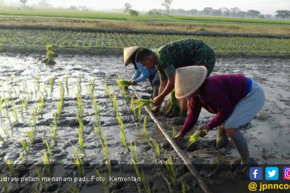 Banjir Jadi Penyebab Klaim Terbesar Asuransi Pertanian di Sumsel - JPNN.COM