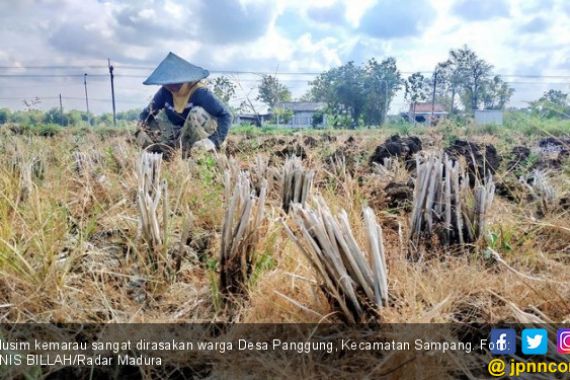 64 Desa di Sampang Berpotensi Terdampak Kekeringan - JPNN.COM