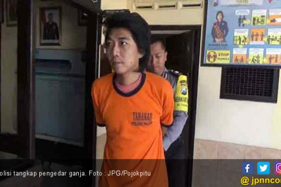 Janjian Jual Ganja dengan Pembeli, Ternyata yang Datang Polisi - JPNN.COM