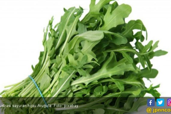 10 Khasiat Sayuran Hijau Arugula - JPNN.COM