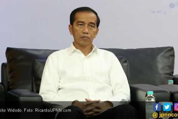 Dari Kalimatnya, Jokowi Sangat Kecewa Sama Direksi PLN - JPNN.COM