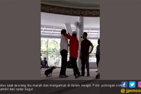 KSHUMI: Membawa Anjing Masuk Masjid sama dengan Penistaan Agama - JPNN.COM