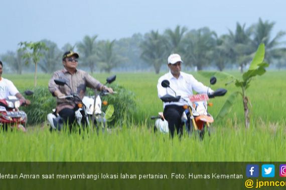 Mentan Amran Kirim Tim Khusus ke Aceh Periksa Benih Padi IF8 - JPNN.COM