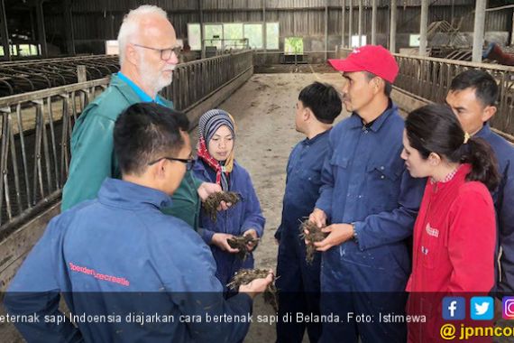  FFI Kirim Empat Peternak Sapi Indonesia untuk Studi Banding ke Belanda - JPNN.COM