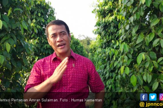 Sesuai Arahan Mentan Amran, Indonesia Siap Tingkatkan Ekspor Hortikultura ke Singapura - JPNN.COM