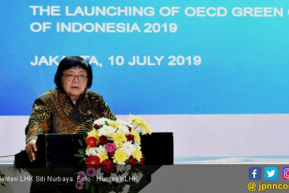 KLHK Luncurkan Tinjauan Kebijakan Pertumbuhan Hijau Indonesia 2019 - JPNN.COM