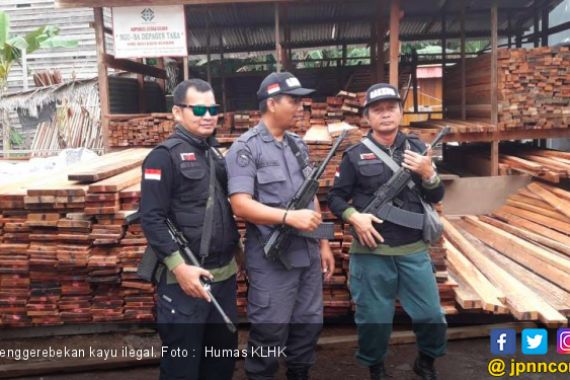 Bersama Polres Nunukan, KLHK Sita Ribuan Potong Kayu Ilegal - JPNN.COM