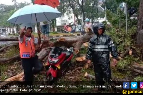 Pohon Besar di Jalan Imam Bonjol Tumbang, Seorang Pengendara Motor Sekarat - JPNN.COM