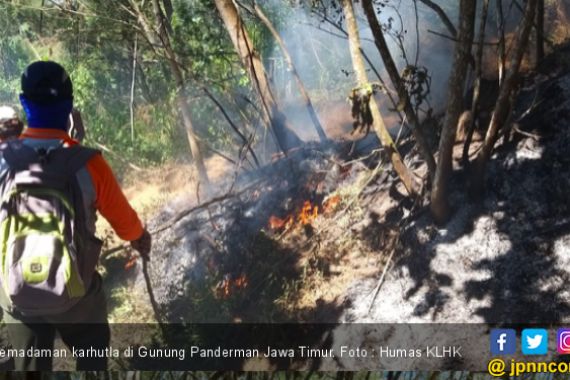 KPH Malang Padamkan Karhutla di Gunung Panderman Jawa Timur - JPNN.COM