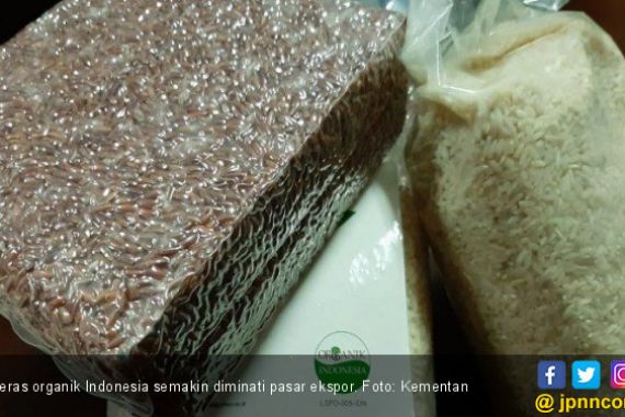Beras Organik Indonesia Semakin Diminati Pasar Ekspor - JPNN.COM