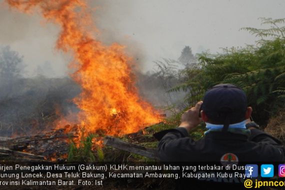KLHK Tetapkan UB Sebagai Tersangka Karhutla 274 Hektare di Kubu Raya Kalbar - JPNN.COM