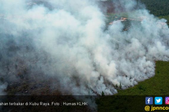 KLHK Tindas Tegas Pelaku yang Bakar Lahan Seluas 274 Hektare - JPNN.COM