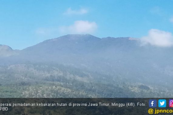 Hutan di Jatim Terbakar, Kabut-Angin Kencang Hambat Operasi Pemadaman Udara - JPNN.COM