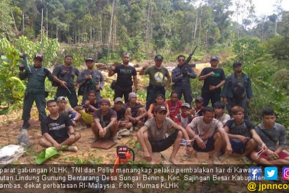 KLHK, TNI dan Polda Tangkap 17 Pelaku Pembalakan Liar di Sambas - JPNN.COM
