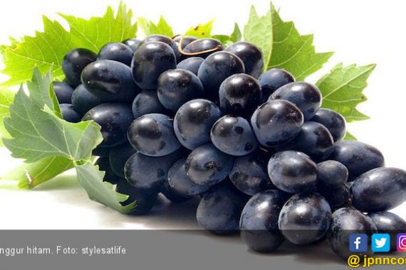 5 Khasiat Anggur Hitam yang Ampuh Lindungi Tubuh dari Penyakit Ganas Ini - JPNN.COM