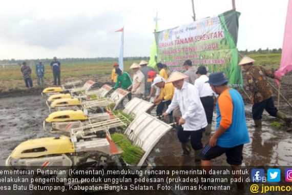 Cara Kementan Majukan Pertanian Bangka Selatan - JPNN.COM