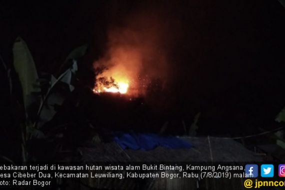 Kawasan Hutan Wisata Alam Bukit Bintang Sengaja Dibakar - JPNN.COM