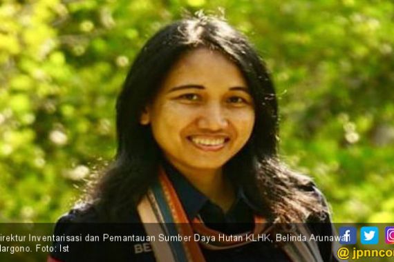 KLHK Bantah Tudingan Greenpeace Terkait Deforestasi Indonesia Buruk - JPNN.COM