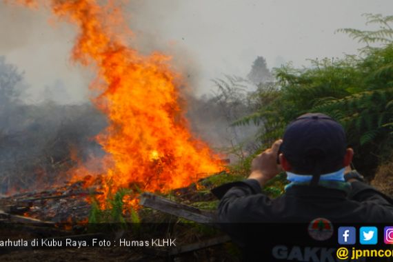 Pelaku Pembakaran 274 Hektar Lahan Terancam Penjara Maksimal 10 Tahun - JPNN.COM