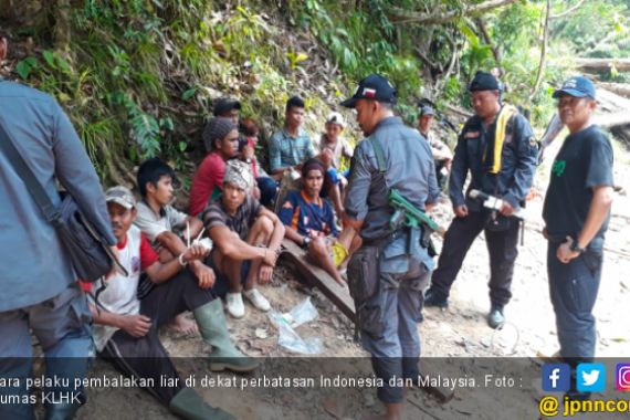 Penyidik KLHK Incar Cukong Pembalakan Liar di Perbatasan Indonesia - Malaysia - JPNN.COM