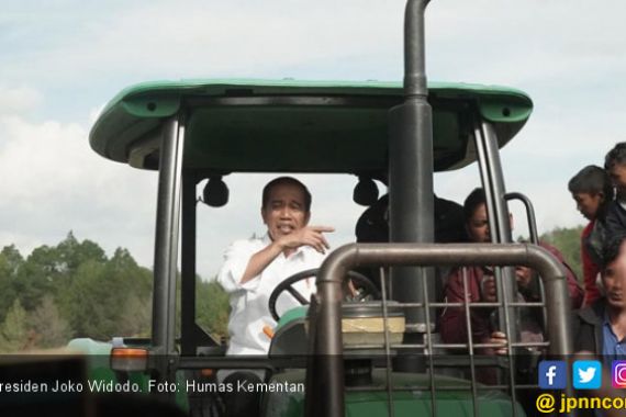 Jokowi Minta Petani Beralih ke Pertanian Modern - JPNN.COM