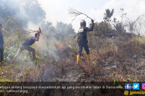 Sehari, Dua Kali Kebakaran Lahan di Samarinda, 17 Hektare sudah Ludes Terbakar - JPNN.COM