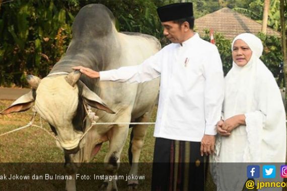 Tak Mau Merembet ke Mana-Mana, Jokowi Tolak Keinginan PDIP - JPNN.COM
