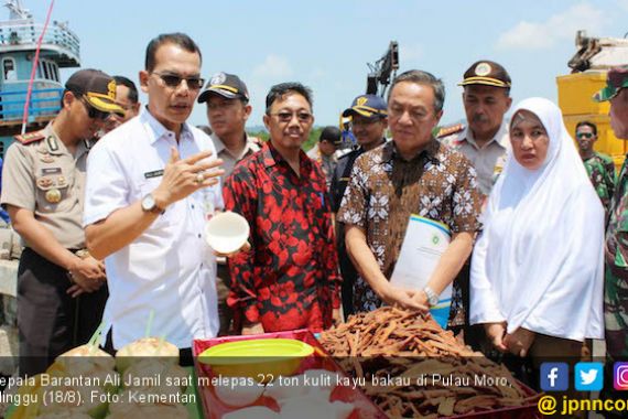 Kulit Bakau Moro Jadi Andalan Ekspor Pertanian Baru - JPNN.COM