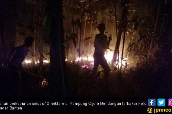 Lahan Perkebunan Terbakar Nyaris Merembet ke Permukiman Warga - JPNN.COM