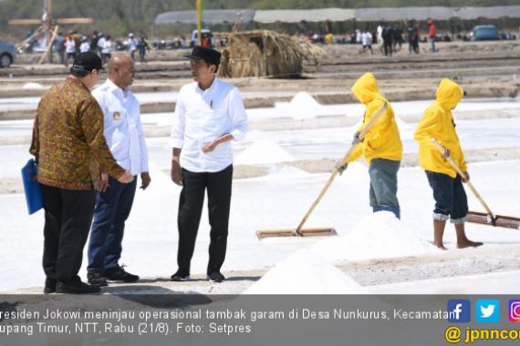 Kunjungi NTT, Jokowi Ingin Pastikan Tambak Garam Sudah Berproduksi - JPNN.COM