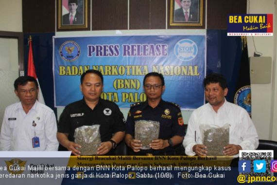 Gelar Operasi Gabungan, Bea Cukai Malili - BNN Kota Palopo Gagalkan Peredaran Ganja - JPNN.COM