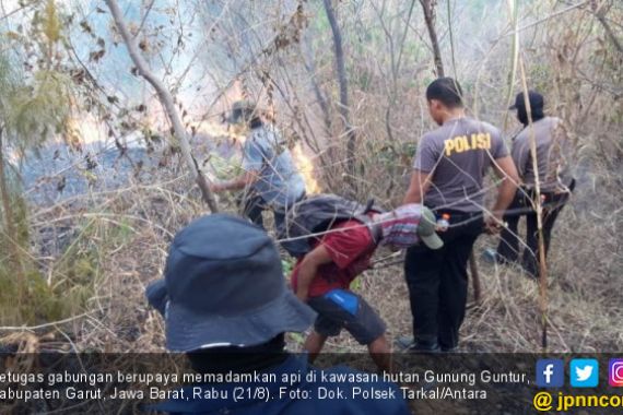 Hutan di Gunung Guntur Terbakar, Polisi Selidiki Penyebabnya - JPNN.COM