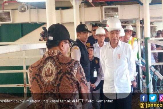 Kementan: Kunjungan Jokowi Membuktikan Dukungan terhadap Kemajuan Peternakan - JPNN.COM