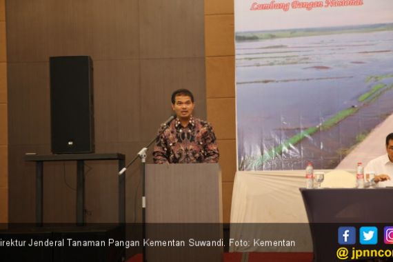 Kementan Yakin Pemanfaatan Rawa Bakal Bikin Sumsel Surplus Beras - JPNN.COM