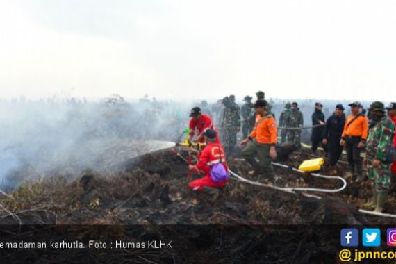Pembakar Hutan dan Lahan di Kalimantan Selatan Diamankan Polisi - JPNN.COM