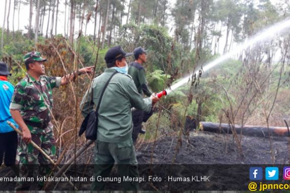 Kebakaran Hutan di Gunung Merapi Berhasil Diatasi - JPNN.COM