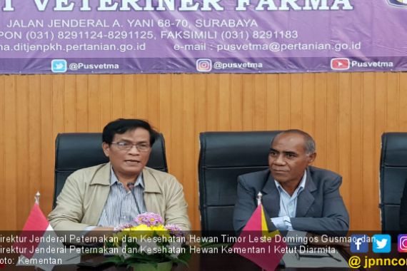 Kementan Tingkatkan Ekspor Produk Peternakan ke Timor Leste - JPNN.COM