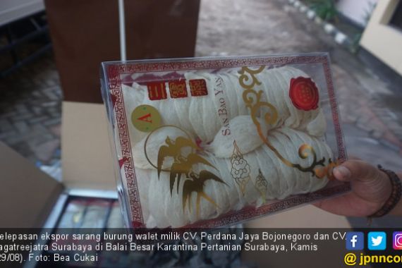 Luar Biasa, Sarang Burung Walet Indonesia Menguasai Pasar China - JPNN.COM