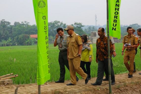 Air Berlimpah, Petani di Jasinga Bogor Bisa Tanam Tiga Kali Setahun - JPNN.COM