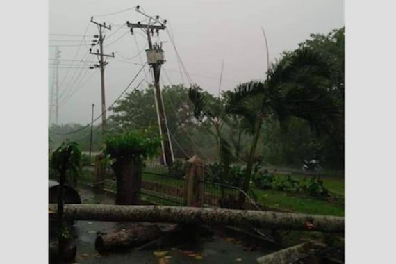 Angin Puting Beliung Mengamuk, Pohon Tumbang Timpa Mobil, Dua Warga Terluka - JPNN.COM