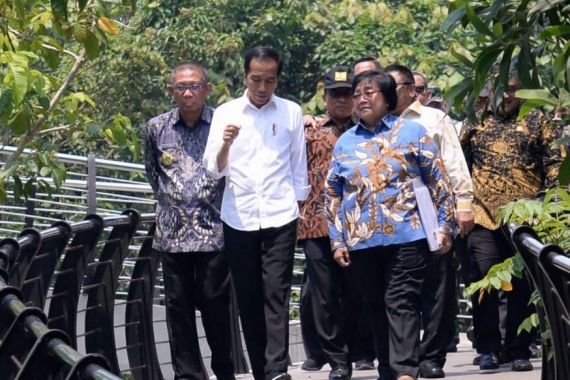 Presiden Serahkan SK TORA Perdana untuk Masyarakat di Pulau Kalimantan - JPNN.COM